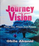 The Journey Into Your Vision PB - Gbile Akanni
